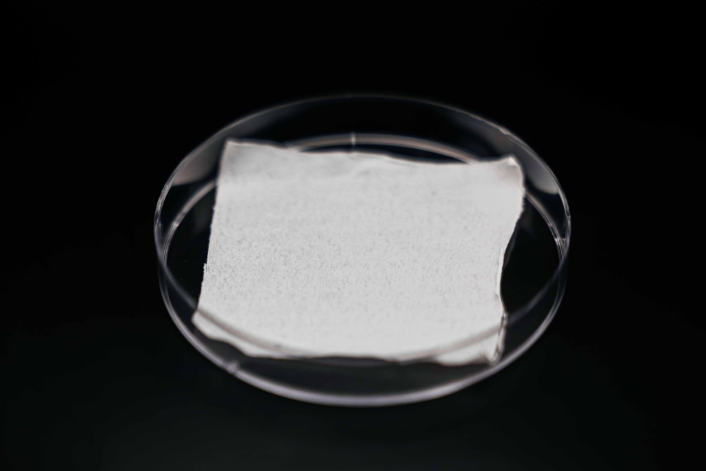 ojet9venno4ystnyevwfycrq1kuqu04v.jpg ojet9venno4ystnyevwfycrq1kuqu04v.jpg